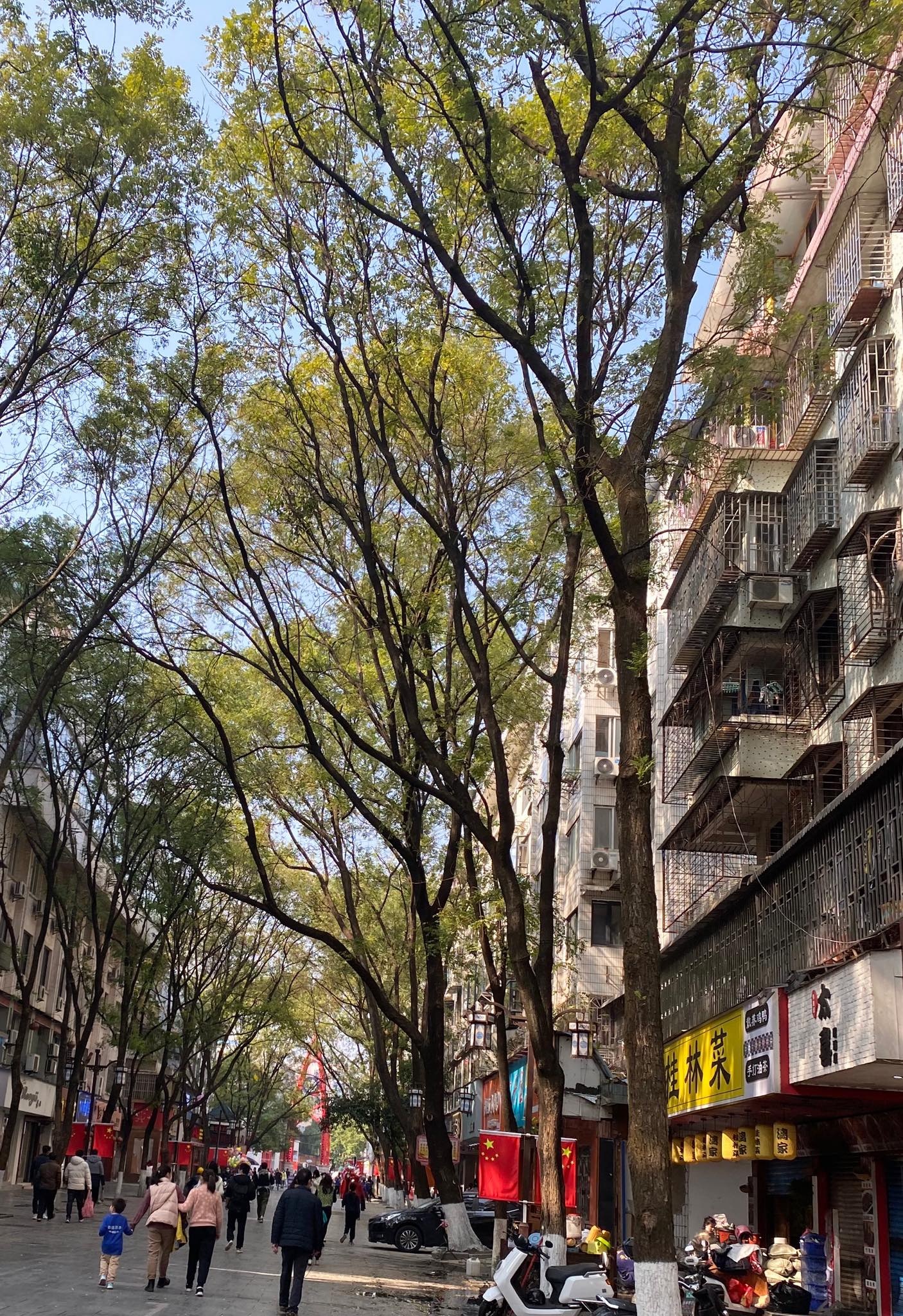 sinh vien tai Trung Quoc anh 2