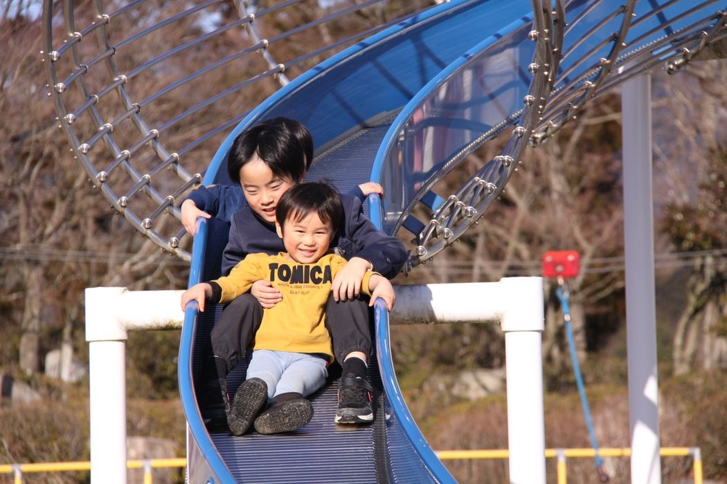 ty le sinh thap anh 2