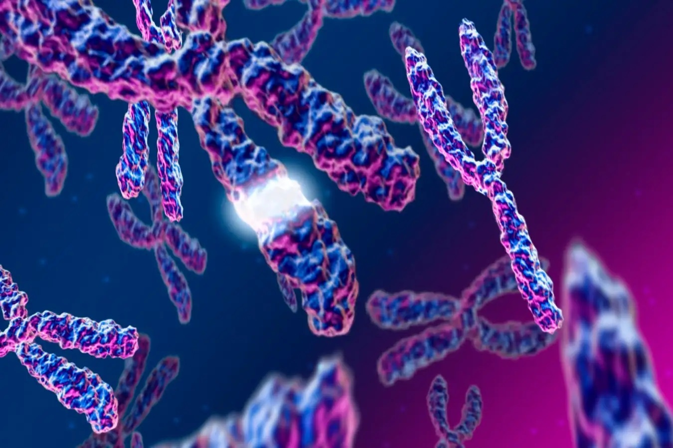 Nhat Ban dat dot pha, tao ra chuot con tu hai chuot duc hinh anh