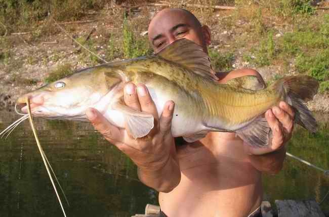 Chuyen san ca khung o song Ma cua nguoi teo tu chi hinh anh