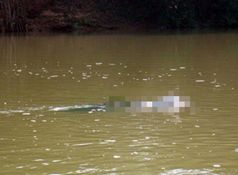 Thi the nu gioi dang phan huy tren song Rach Kinh Moi hinh anh