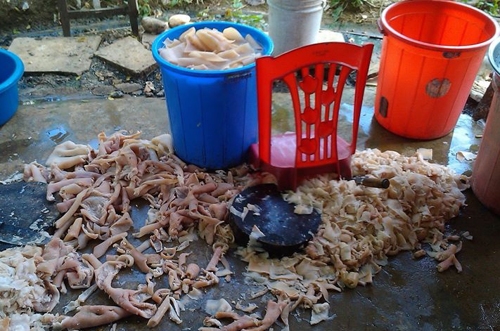 Du khach tung anh che bien nem chua giua san nha hinh anh