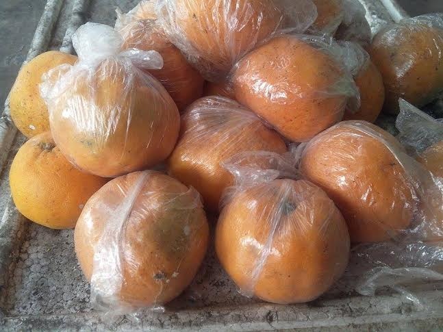 Cam de 2 thang, vo van tuoi nguyen, hat nay mam tu tung hinh anh