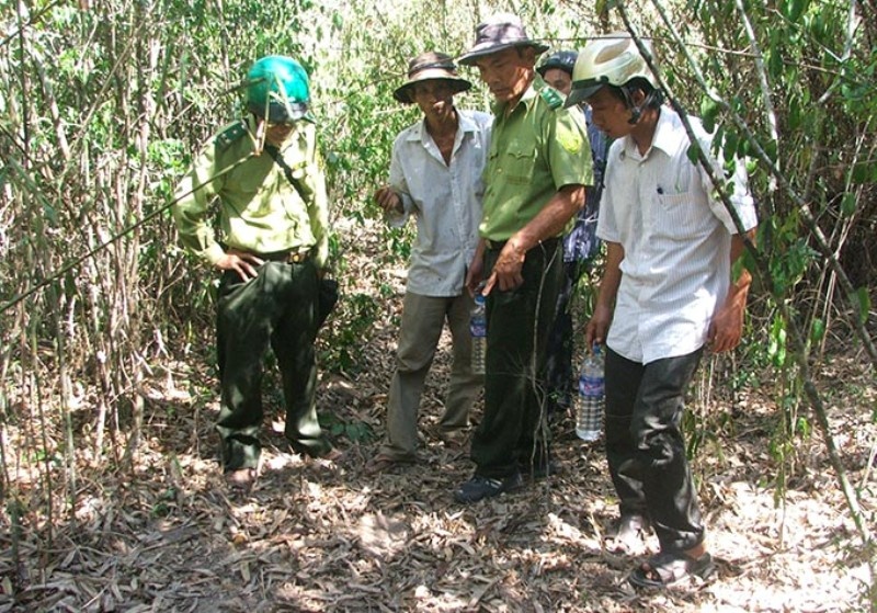 Theo dau con vat nghi la bo tot hinh anh