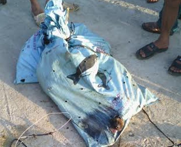 Tại hiện trường, công an thu giữ hai bao tải đựng 10 con chó do bốn