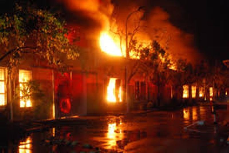 Chay 6 nha hang lop la dua o dao Cu Lao Cham hinh anh