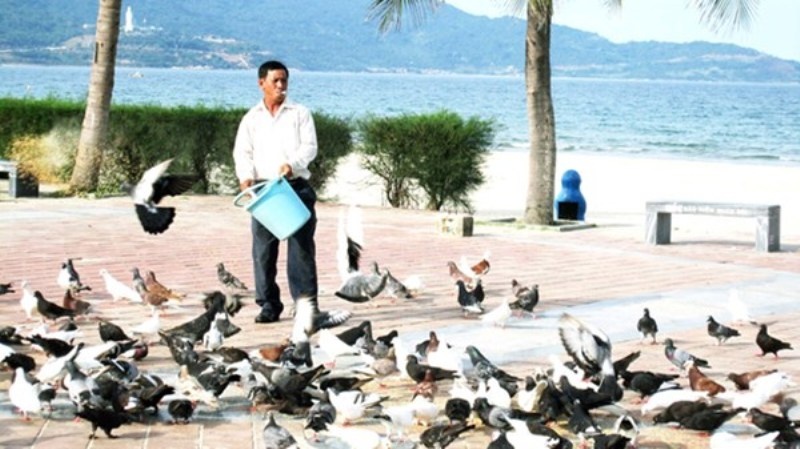 “Cũng còi và thóc ấy, nhưng vào tay người khác, chúng sẽ không xuống hết đâu”, ông Hải nói. Ảnh: Thanh Trần