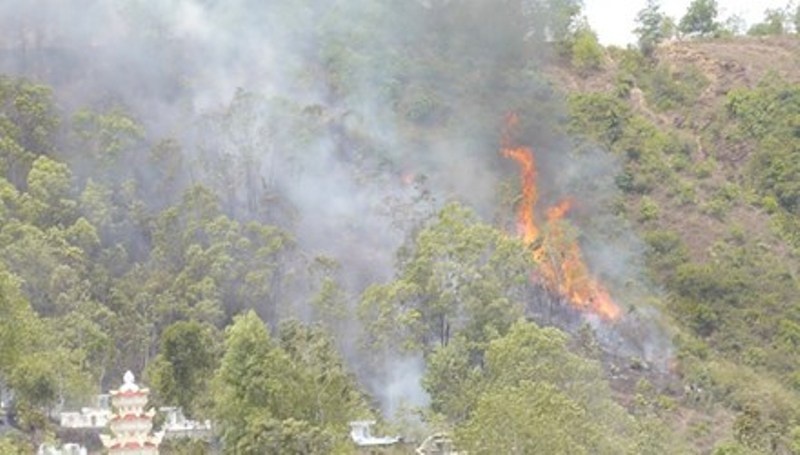 Dot nhang vieng mo, hang chuc ha rung bi chay hinh anh