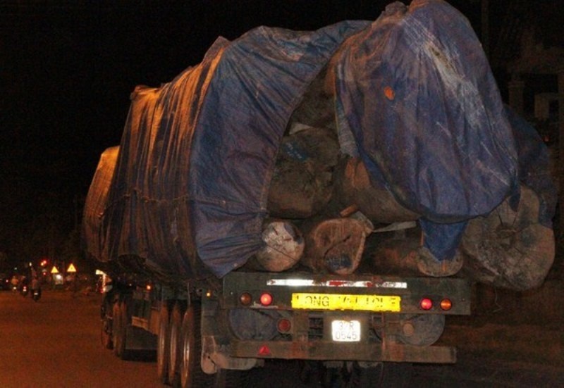 20h30 ngày 9/8, trên QL1A đoạn qua thị xã Quảng Trị (tỉnh Quảng Trị), xuất hiện 3 chiếc xe đầu kéo chở theo một lượng gỗ lớn lưu thông theo hướng bắc- nam. 3 chiếc xe này nối đuôi chạy cách nhau một quãng ngắn, trên xe chở theo một khối lượng lớn gỗ. Mặc dù xe có che bạt, nhưng vì gỗ quá dài và lớn nên phía đuôi xe gỗ vẫn thòi ra bên ngoài khoảng 2 mét.