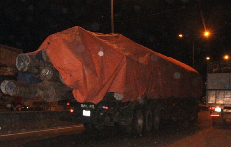 Những khúc gỗ dài, nặng hàng tấn thòi ra một đoạn dài ở phía đuôi xe khiến những chiếc xe chạy cùng chiều không dám vượt. Lần lượt từng chiếc một, thong dong trên QL1A chở theo hàng chục tấn gỗ.