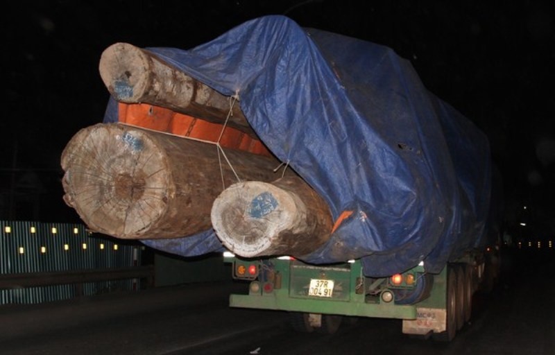 Xe cho go 'khung' thong dong tren quoc lo 1A hinh anh
