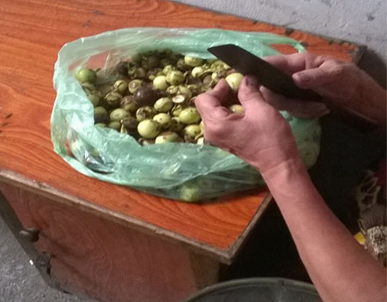 Từng quả cà thối được bà chủ gọt cắt phần hỏng rồi muối xổi.  