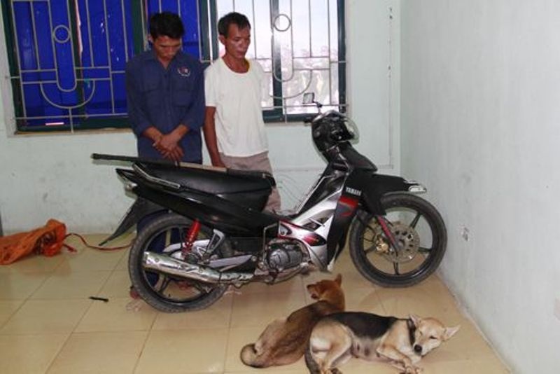 Bat 2 'cau tac' dang cho cho di ban hinh anh