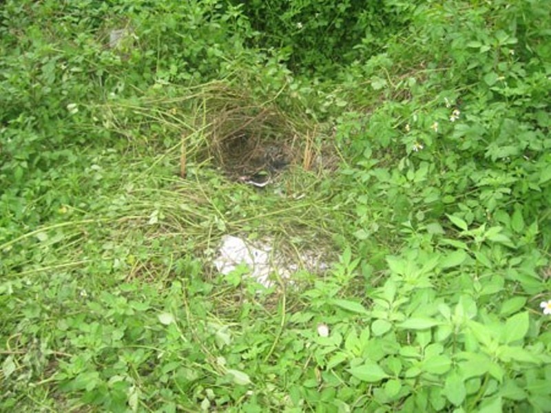 Thanh nien chet bi an sau khi tra lai 100 trieu nhat duoc hinh anh