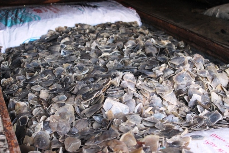 Số hàng gần 2 tạ vẩy tê tê được ngụy trạng bên trong xe khách, không rõ nguồn gốc.