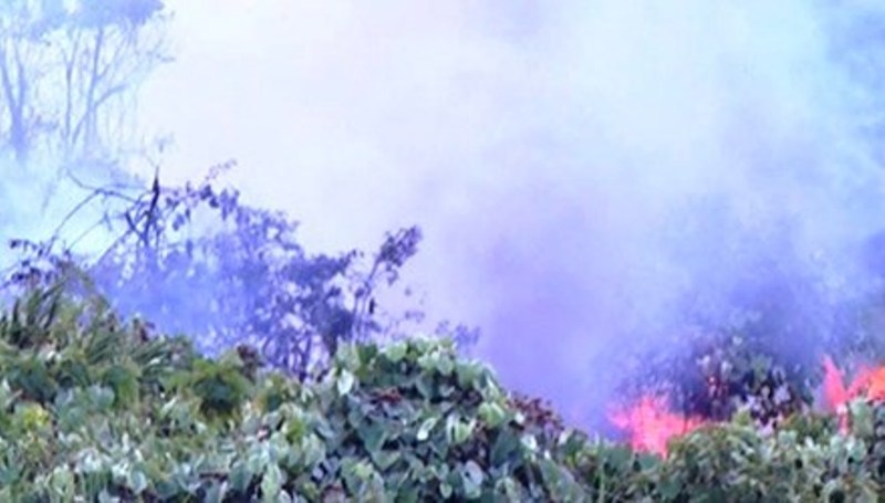 Chay lon o rung Nam Hai Van, nhieu tieng no nhu bom hinh anh