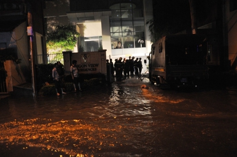 Cay co thu bat goc, de sap tuong rao Thao Cam Vien hinh anh