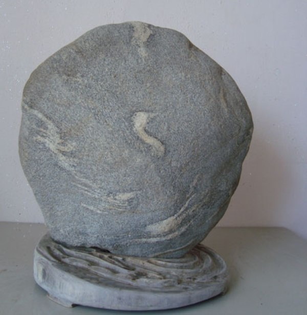 “Tung tăng” với hình con thiên nga bơi lội trên dòng nước.