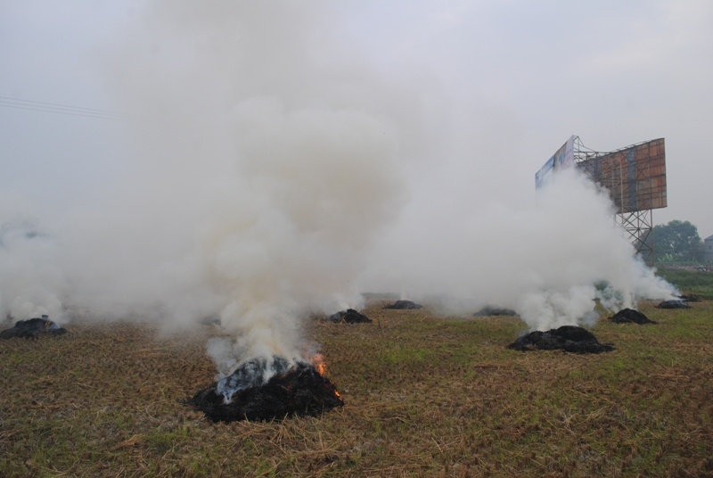 Những buổi chiều gần đây, ven quốc lộ 1A (đoạn qua huyện Hoằng Hóa, Thanh Hóa), nông dân đồng loạt đốt rơm rạ gây khói, bụi mù mịt bay lên quốc lộ 1A. Do khói bụi làm hạn chế tầm nhìn nên các tài xế điều khiển xe lưu thông qua lại đã phải bật đèn, hú còi...để tránh va chạm đáng tiếc. Bụi, khói khiến nhiều người điều khiển xe máy, học sinh không dám mở mắt hoặc nín thở để thoát thân.
