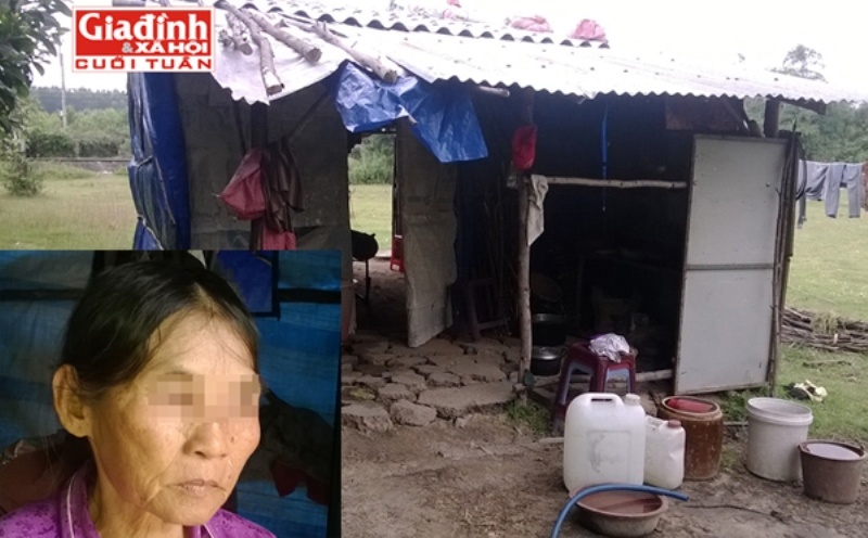 40 năm ròng rã, bà liên tục bị chồng ép phải “chiều”. Quyết định làm đơn ly dị để tự giải thoát khỏi gã chồng khát dục, bà vẫn không nguôi nỗi đau về những tháng ngày sống trong “địa ngục trần gian này”. Xót xa thân gái gửi nhầm “bến đục” Trò chuyện với chúng tôi, ông Nguyễn Lan (Phó thôn T.V.) tâm sự: “Chị Lộc trước đây từng bị chồng bạo hành. Do chị cam chịu, không làm đơn tố cáo nên chính quyền không có cơ sở can thiệp. Sau này không chịu đựng được nữa, chị mới quyết định ly hôn giải thoát cho bản thân. Cuối năm 2013, chính quyền địa phương đã đưa trường hợp của chị vào diện hộ cận nghèo nhưng cũng không giúp đỡ được nhiều”. Đến thôn T.V., nhắc đến hoàn cảnh của bà L. ai nấy đều thở dài thương xót. Trong quá khứ, bà cũng từng có một mái ấm gia đình. Nhưng đến tuổi xế chiều, bà lại phải lủi thủ một mình trong túp lều rách nát giữa cánh đồng. Khi chúng tôi tìm đến, bà L. đang loay hoay chuẩn bị cho bữa cơm chiều. Thấy khách lạ, bà hốt hoảng vì tưởng cán bộ đến đòi lại mảnh đất mà bà đang “chiếm dụng”. Nhìn người phụ nữ với dáng vẻ khắc khổ, lam lũ, chúng tôi không khỏi chạnh lòng. Không ngờ khi tâm sự, bà lại cho biết: “Đây là những tháng ngày bình yên nhất cuộc đời tôi”. Cũng vì cha mẹ đặt đâu con ngồi đó nên đến khi làm lễ cưới, bà L. và ông Trần Đình Q. (SN 1952) mới biết mặt nhau. Chung sống chưa được bao lâu, bà L. đã nhận ra chồng là kẻ cộc cằn, thô bạo. Nhiều năm liên tục, bà bị chồng bạo hành về tình dục. Đêm nào cũng vậy, ông ta đều đặn bắt vợ phải “chiều” dăm ba lần. Dù đau đớn nhưng bà không dám trái ý vì sợ người chồng nổi điên đánh đập. Tình trạng ấy kéo dài suốt hai năm khiến bà L. ngày càng tiều tụy. Ban ngày, bà làm quần quật ngoài đồng, đêm về lại phải gồng mình để chồng thỏa mãn cơn khát dục. Bị ám ảnh đau đớn cả về thể xác lẫn tinh thần, bà trở nên sợ hãi mỗi khi đêm đến. Mỗi khi quá mệt mỏi, nhất quyết từ chối yêu cầu “quan hệ”, bà lại bị chồng đay nghiến, thậm chí gán tội “chán chồng, ngoại tình”. Sống trong cảnh bất hạnh cùng cực, đã có lúc, bà nghĩ đến cái chết để giải thoát cho mình. Nhưng nhìn đàn con nheo nhóc, bà lại không đành lòng. Song thời gian trôi qua, bà càng chịu đựng thì người chồng bạc ác càng lấn tới. Hết đêm này sang đêm khác, bà phải cắn răng chịu đựng những cuộc ái ân “địa ngục trần gian”. Nhớ lại quá khứ, bà L. đau đớn kể: “Nếu “chiều” ông ta thì không sao. Nhưng chỉ cần tôi nhăn nhó một chút, ông ta sẽ chửi bới, đánh đập tàn tệ. Tôi sợ các con buồn vì chuyện người lớn nên về sau có đau mấy cũng âm thầm chịu đựng. Đến tận sau này, khi đã có tuổi, tôi vẫn bị đày đọa như lúc mới về làm vợ vậy!”. Bước sang tuổi 50, bà L. kiệt sức vì sinh con quá nhiều, lại phải bươn chải lo cho gia đình. Sức yếu, bà không còn “khả năng” để chiều chồng. Trong khi hàng đêm, chồng bà vẫn có “nhu cầu”. Nhiều lần, bà tìm cách lảng tránh thì ông ta lại nghi ngờ, cho rằng bà lăng nhăng nên để chồng “đói khát”. Không chỉ chửi mắng, đày đọa vợ về tinh thần, ông ta còn đánh đập bà thậm tệ. Nhiều lúc, bà muốn tố cáo gã chồng vũ phu nhưng vì mặc cảm nên đành cam chịu. Sau gần 40 năm gắn bó, ông Q. không những không yêu thương vợ mà còn hắt hủi cả đàn con. Đau lòng hơn, ông ta luôn mắng nhiếc vợ bố bịch, trai gái và cho rằng những đứa con không phải “giọt máu” của mình. Lấy lý do bị vợ “cắm sừng”, ông Q. suốt ngày chìm đắm trong rượu chè, ăn chơi sa đọa. Nhìn tài sản tích cóp bằng mồ hôi, nước mắt theo nhau “đội nón ra đi”, bà L. đau xót nhưng cũng đành bất lực. Ông Q. vốn hay cáu bẳn, khi có men rượu vào lại càng ngang ngược, dữ tợn hơn. Được vợ con cung phụng từng miếng ăn, giấc ngủ nhưng ông ta vẫn không hề nghĩ lại. Nhiều lần đến bữa, ông đạp đổ cả mâm cơm. Lại có lần gia đình đang ăn, ông mắng nhiếc vợ con không thương tiếc. Có những hôm, bà L. bị chồng ném cả nồi cá kho vào người vì tội đi làm về muộn. Chẳng những vậy, nhiều đêm ông Q. còn đuổi đánh vợ con ra khỏi nhà. Bà L. phải dắt các con đến xin ngủ nhờ nhà hàng xóm. Nhưng họ giúp mẹ con bà cũng chỉ được vài ba hôm vì ông Q. luôn tìm đến chửi bới, mắng nhiếc. Giải thoát chính mình Không chịu đựng được nữa, bà nước mắt lưng tròng đi nhờ người làm đơn xin ly hôn. Không tố cáo hay kiện tụng, bà chấp nhận nỗi đau, chỉ xin được sống yên ổn. Chính quyền địa phương ban đầu chưa hiểu chuyện nên đến động viên hòa giải. Chứng kiến thái độ bất cần đời của ông Q., họ mới thấu hiểu được nỗi khổ bao năm qua bà phải cắn răng chịu đựng. Đến tháng 8/2013, nguyện vọng của bà L. được thực hiện. Sau khi ly hôn, mấy mẹ con bà L. dựng lều sống tạm trên mảnh đất chiếm dụng bất hợp pháp. Nguyên do là khi ly hôn, hai người không còn tài sản gì để phân chia. Căn nhà vợ chồng bà từng sinh sống được ngăn đôi nhưng ông Q. lại ngang ngược chửi bới, xua đuổi. Ngày rời nhà ra đi, tài sản lớn nhất của mấy mẹ con bà L. chỉ là hai cái tủ đã xập xệ, chiếc võng xếp và hai ghế nhựa dùng tiếp khách. Căn chòi được bao phủ bằng tấm bạt mỏng manh. Ban ngày ngồi trong chòi, người ta có thể cảm nhận được ánh nắng gay gắt. Túp lều không điện, không nước, trơ trọi giữa cánh đồng và bị người đời lãng quên. “Mùa lũ năm ngoái, mấy mẹ con phải bỏ nhà cửa tháo chạy vào nhà dân gần đó tránh nạn. Đến khi nước rút, chúng tôi về lại thì mọi thứ trong nhà bị nước cuốn trôi gần hết. Gạo mắm chẳng còn, đến chiếc xoong nấu cơm cũng trôi mất, mấy mẹ con phải sống nhờ bà con hàng xóm. Sau này, nhờ mọi người giúp đỡ, tôi mới mua sắm lại đồ đạc, sách vở cho con tiếp tục đi học…”, bà L. nghẹn nào nói. Thương mẹ, những người con của bà cũng không làm được gì hơn. Người con trai áp út của bà (26 tuổi) gần một năm nay phải xa xứ làm thuê, làm mướn. Cô con gái áp út năm nay 20 tuổi phải bỏ học vào thành phố làm công nhân. Đáng thương nhất là cô con gái út năm nay lên lớp 12. Gia đình tan vỡ, cô bé đến trường trong sự mặc cảm nhưng vẫn chăm chỉ học hành và chịu khó phụ giúp mẹ làm lụng. Hiện giờ, bà L. chỉ trông chờ vào đồng ruộng để tằn tiện lo cho cuộc sống. Bà L. tâm sự: “Tôi có 3 sào ruộng nhưng vụ vừa qua phải bỏ hoang vì hạn hán kéo dài. Chưa tới mùa mưa, gạo trong nhà đã chẳng còn bao nhiêu. Hai đứa con lớn đi làm ăn xa thì cũng chỉ đủ lo thân, không đỡ đần gì được cho mẹ và em. Hàng ngày, hai mẹ con tôi lo cái ăn, cái mặc còn chưa xong. Chẳng biết sắp tới, bé út học lớp 12 thì tiền đâu trang trải. Thôi thì, tôi cố gắng lo cho cháu được chừng nào hay chừng đó. Đời nó không thể khổ như mẹ được”.