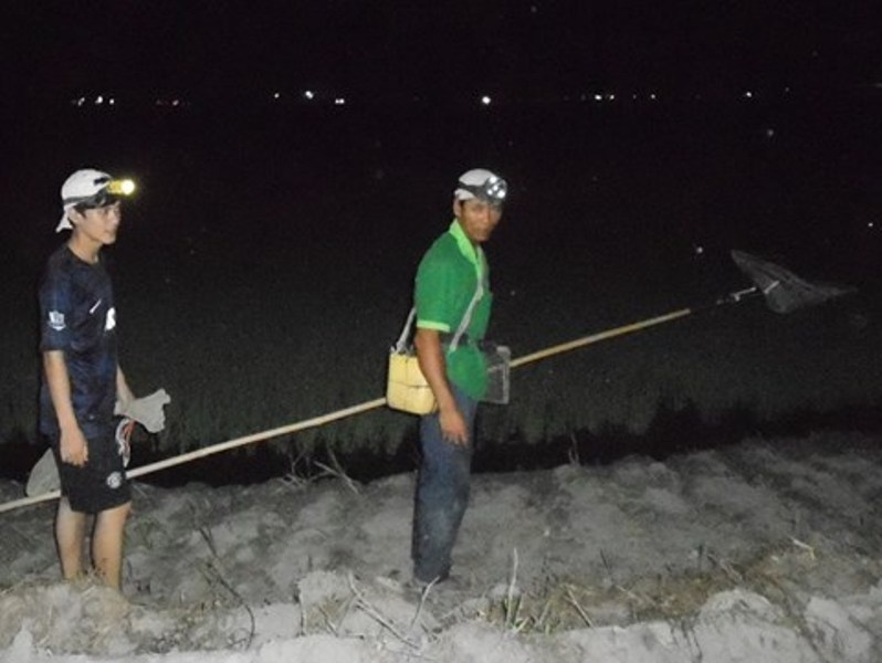 Luat bat thanh van o ngoi lang dan ong ngu ngay hinh anh