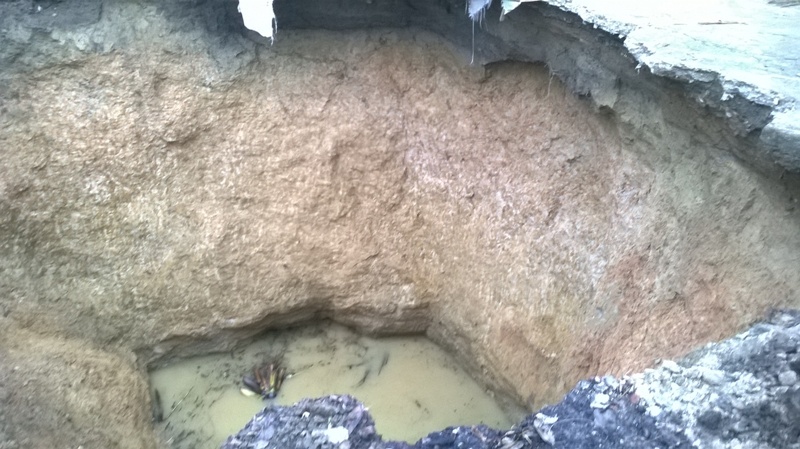 Sau một ngày xuất hiện, “hố tử thần” hiện đã lan rộng ra gần 30m, sâu khoảng 20m và trong khu dân cư có nhiều nhà cao tầng liền kề. Ngay từ sáng sớm, để tránh thiệt hại, nhà chức trách địa phương đã tổ chức sơ tán dân khỏi khu vực nguy hiểm.