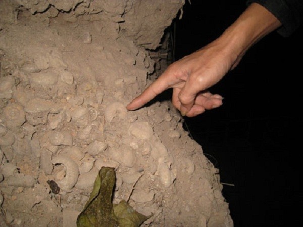 Phat hien dau vet nguoi co dai o hang Con Moong hinh anh