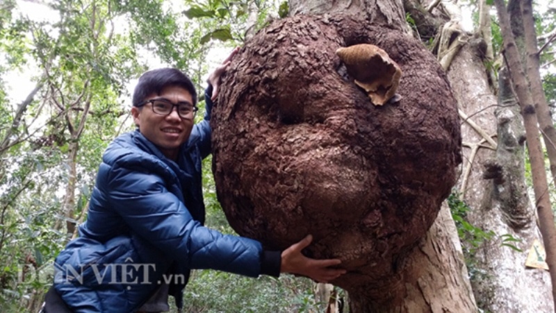 Vòng tay người ôm không xuể