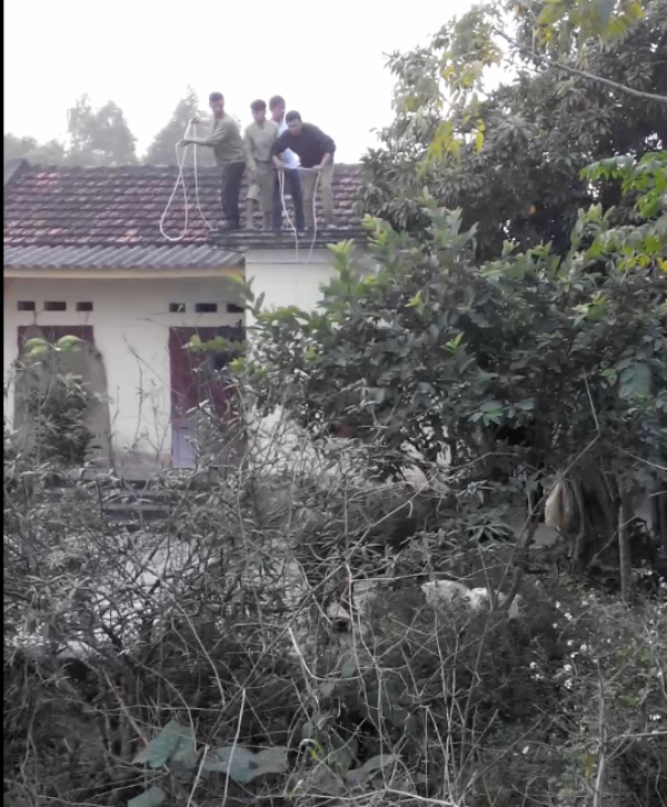 Nguoi dan dung tren noc nha quang day bat trau dien hinh anh