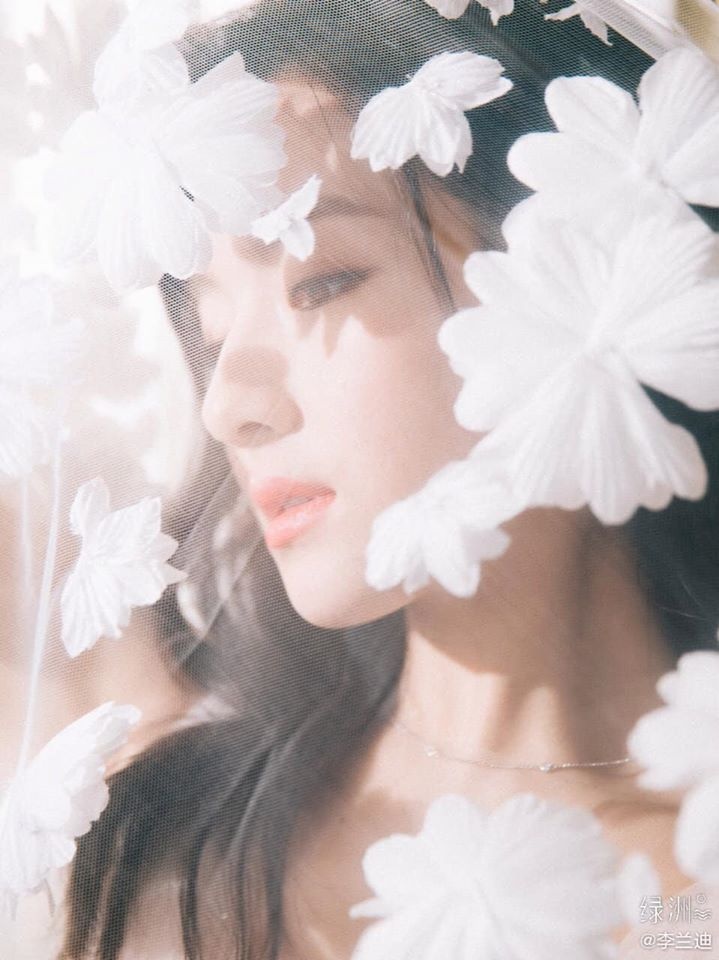 Mong hoi Dai Thanh,  Ly Lan Dich thon gon,  Xin chao ngay xua ay,  Du Chau Chau,  tieu hoa dan anh 4