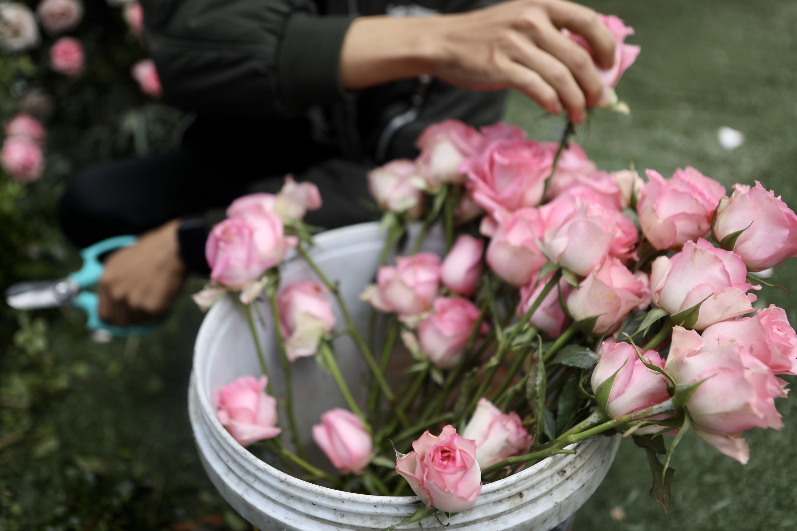 dam cuoi duy manh quynh anh anh 3