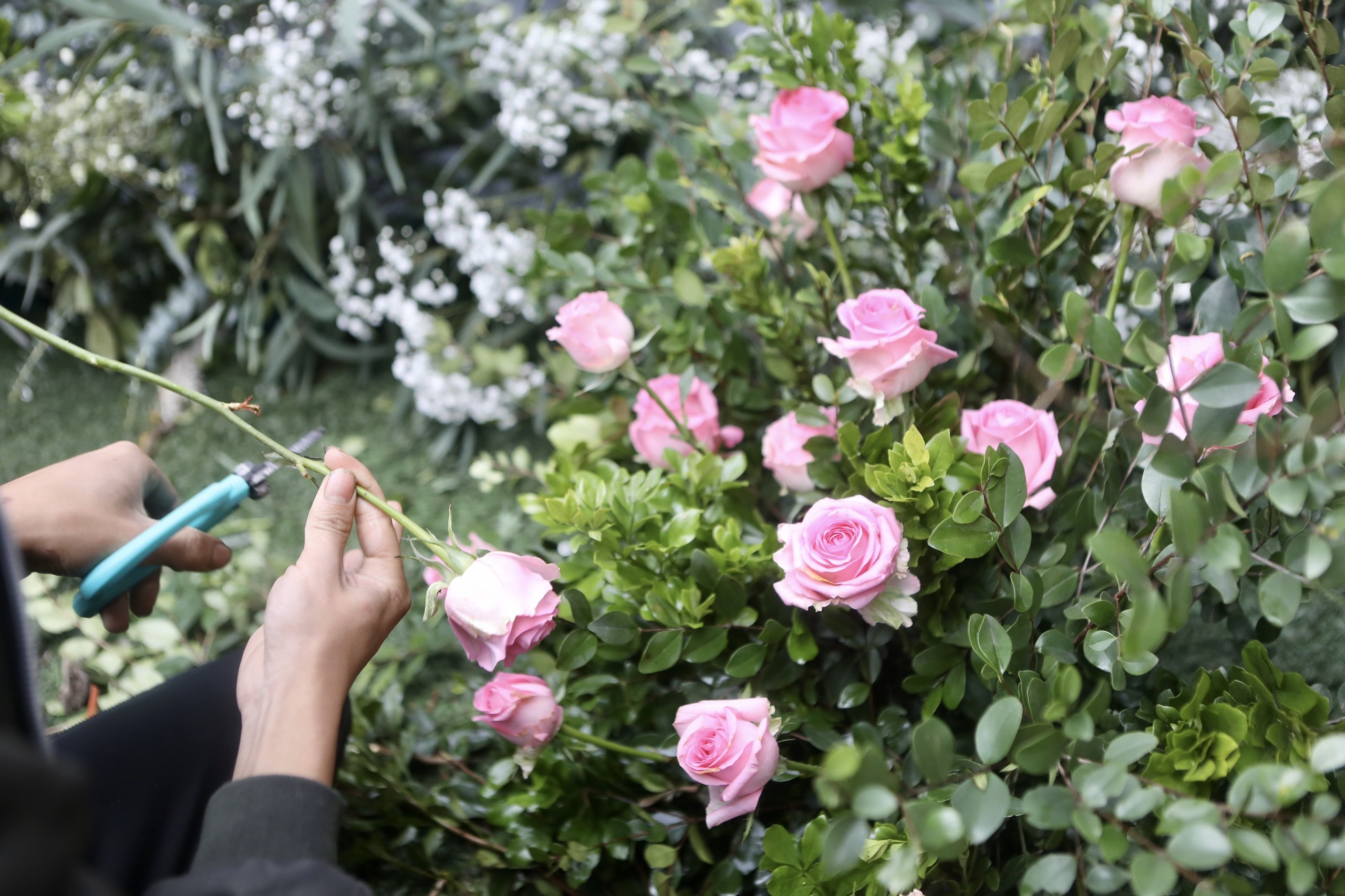 dam cuoi duy manh quynh anh anh 4