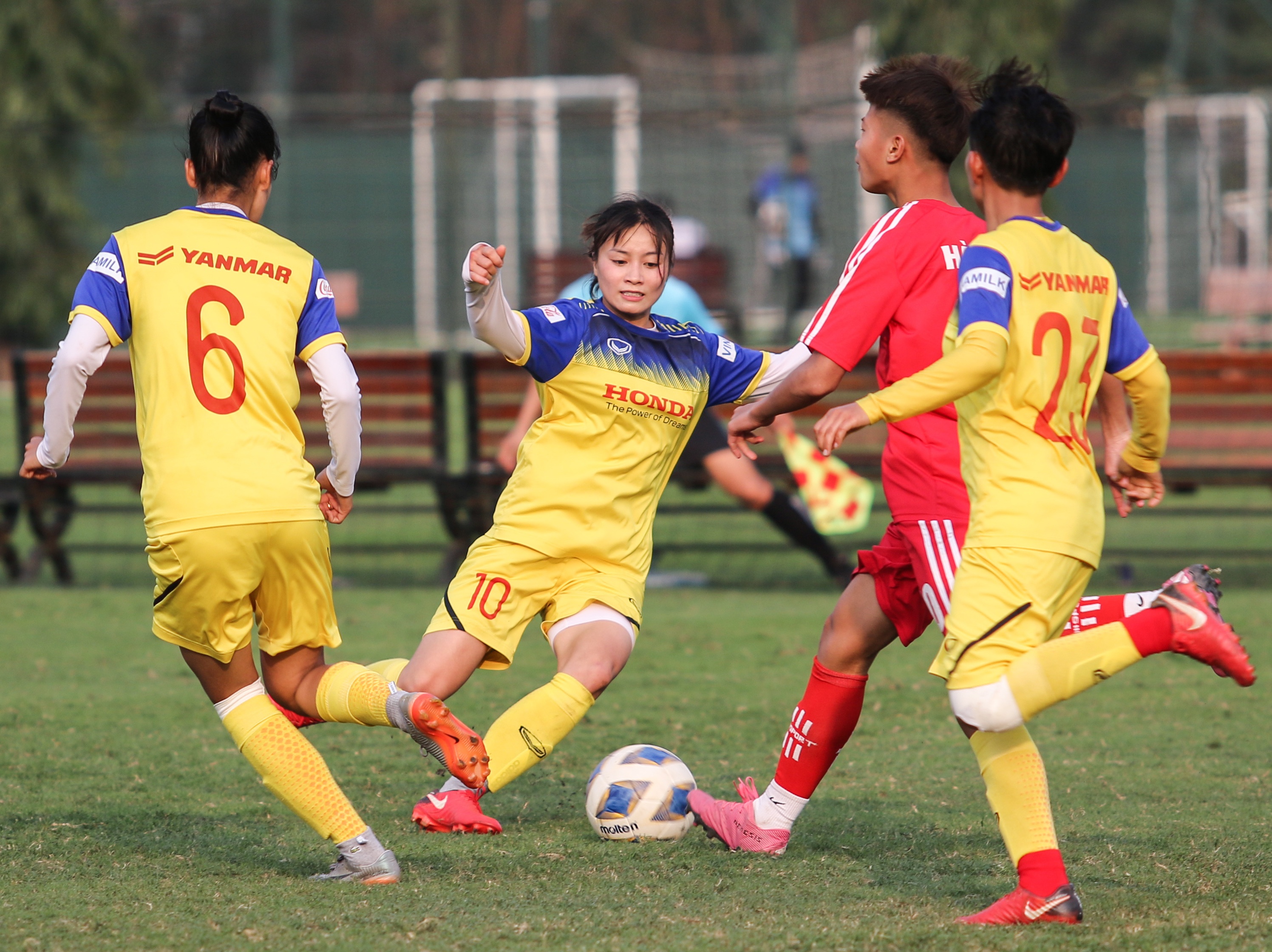 hoang thi loan anh 7