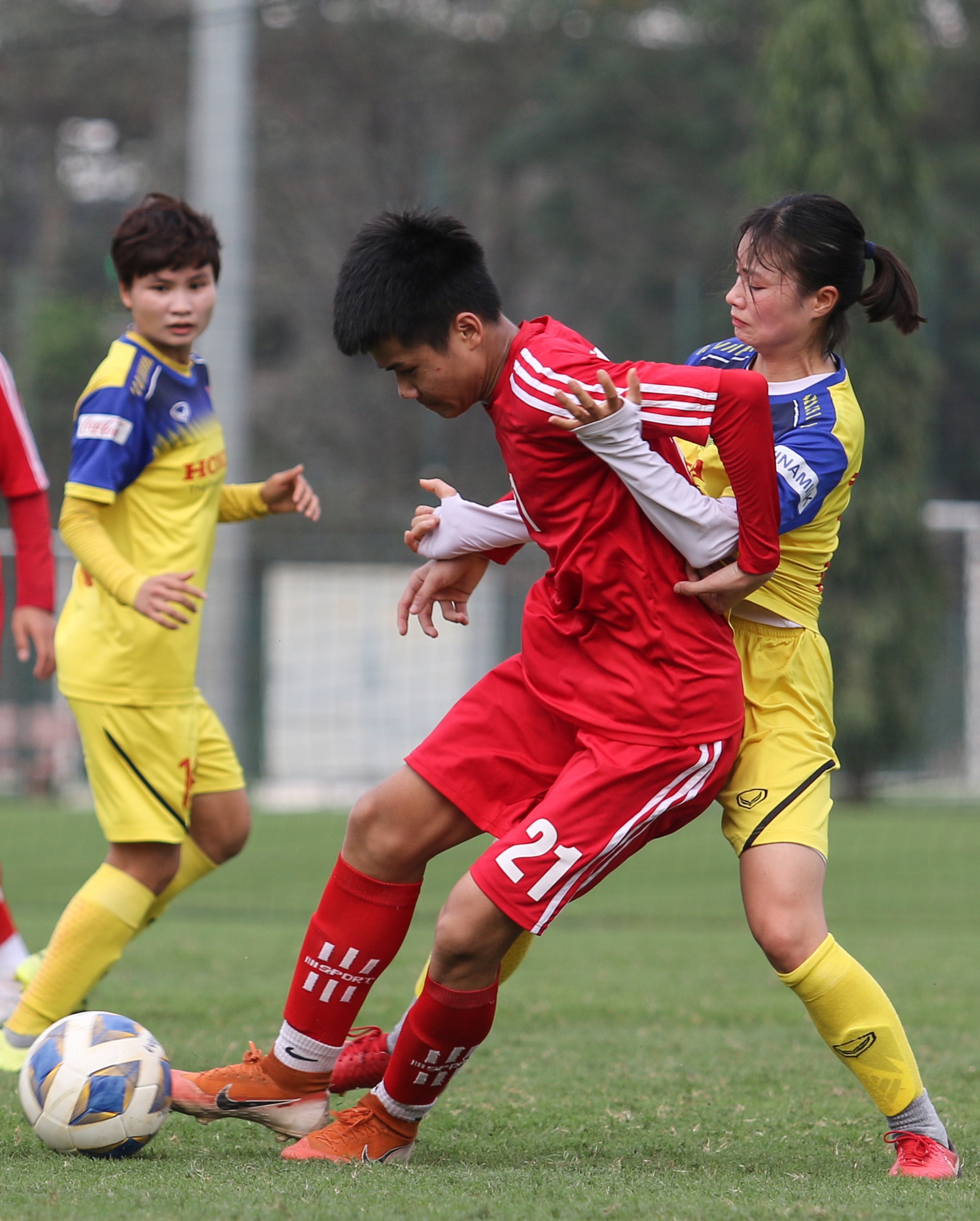 hoang thi loan anh 5