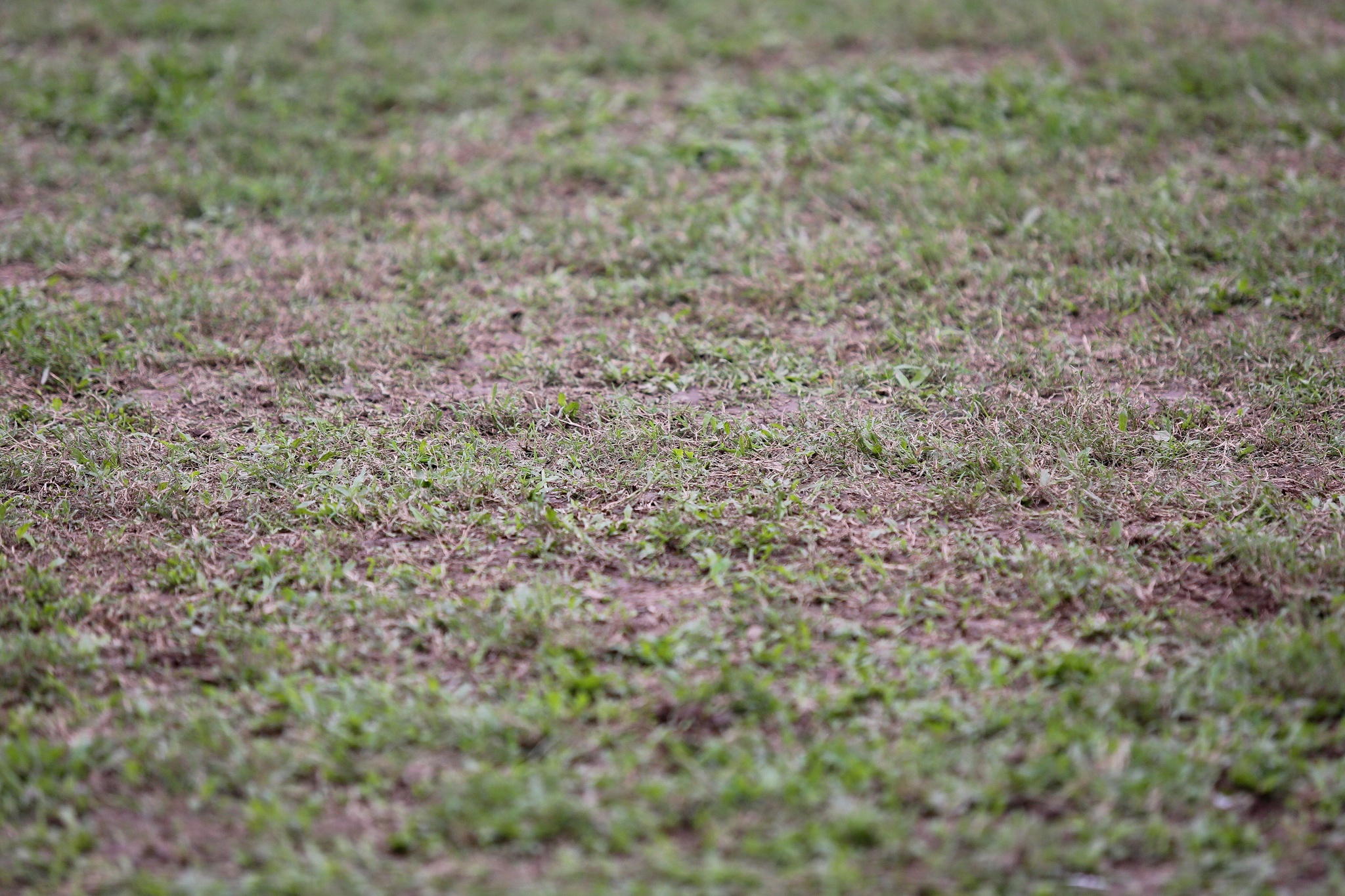 'San Vinh se duoc cai tao theo cong nghe Thai Lan' hinh anh