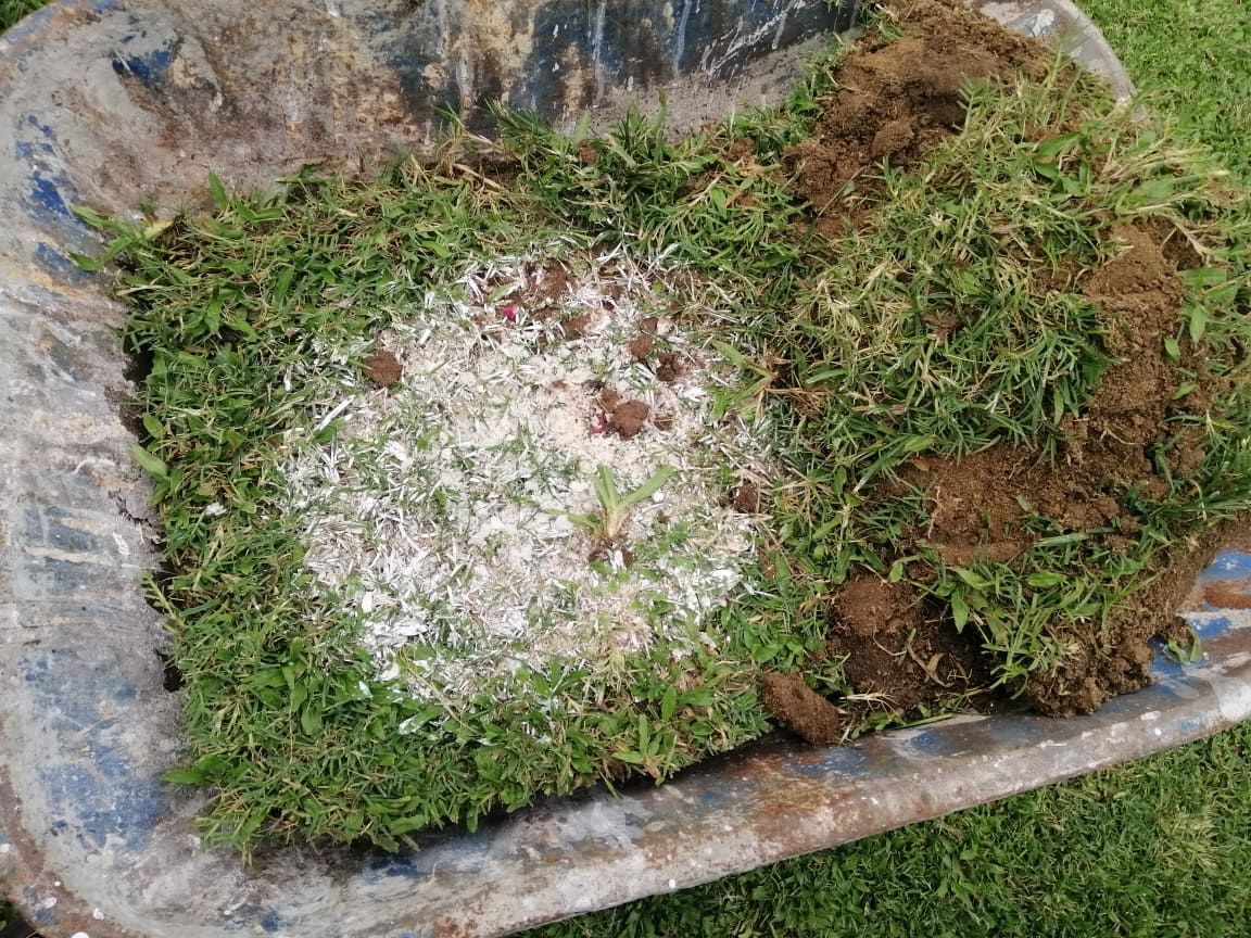 Vu chat mau la o Thien Truong - 'HLV khong yem bua ma chi cau an lanh' hinh anh