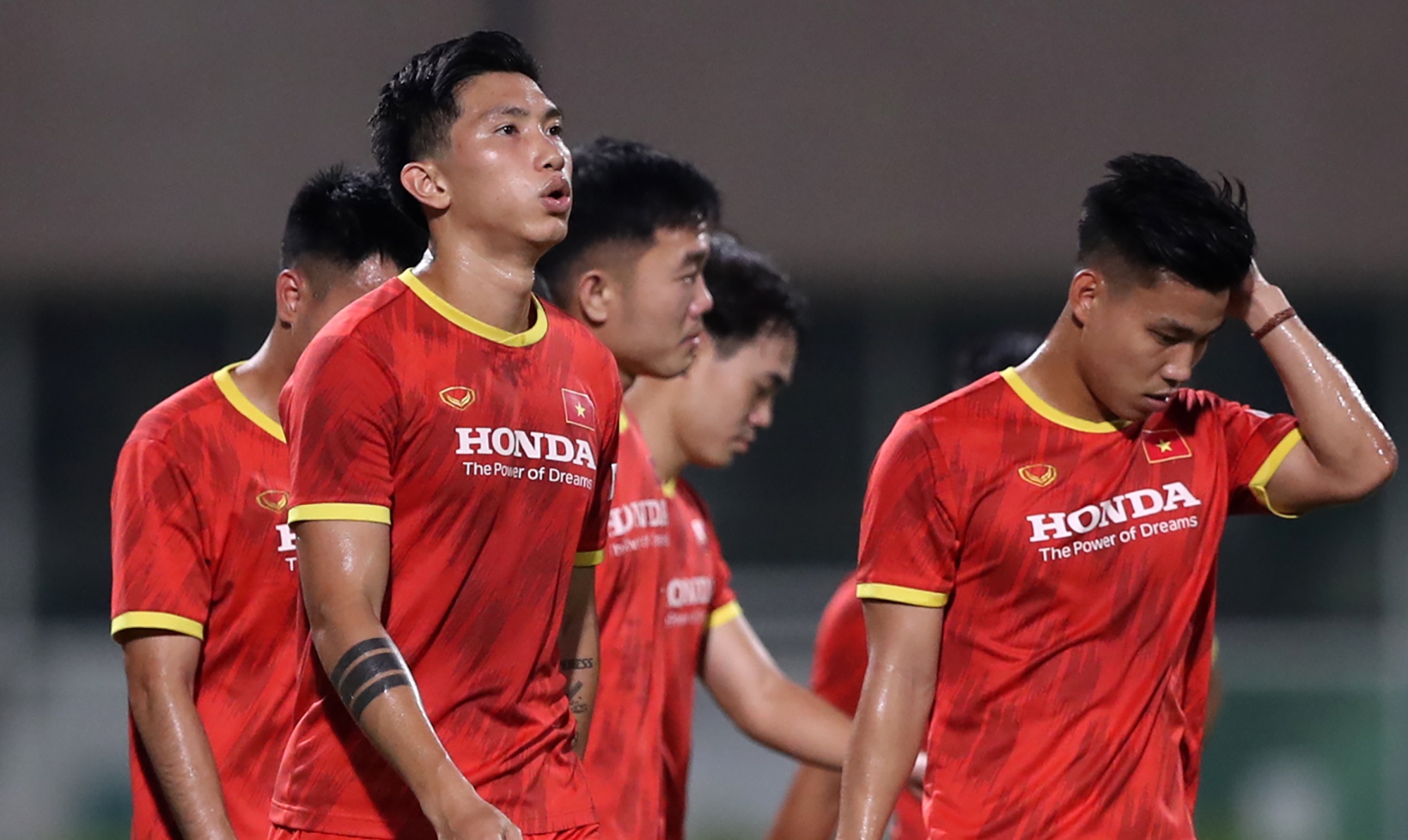 doi hinh chieu cao tuyen viet nam anh 3