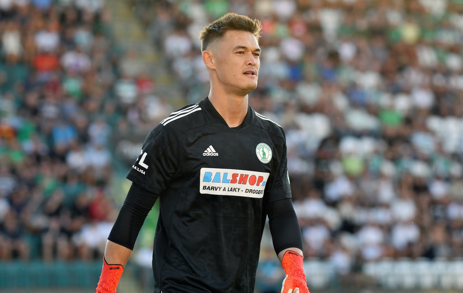 patrik le giang anh 1