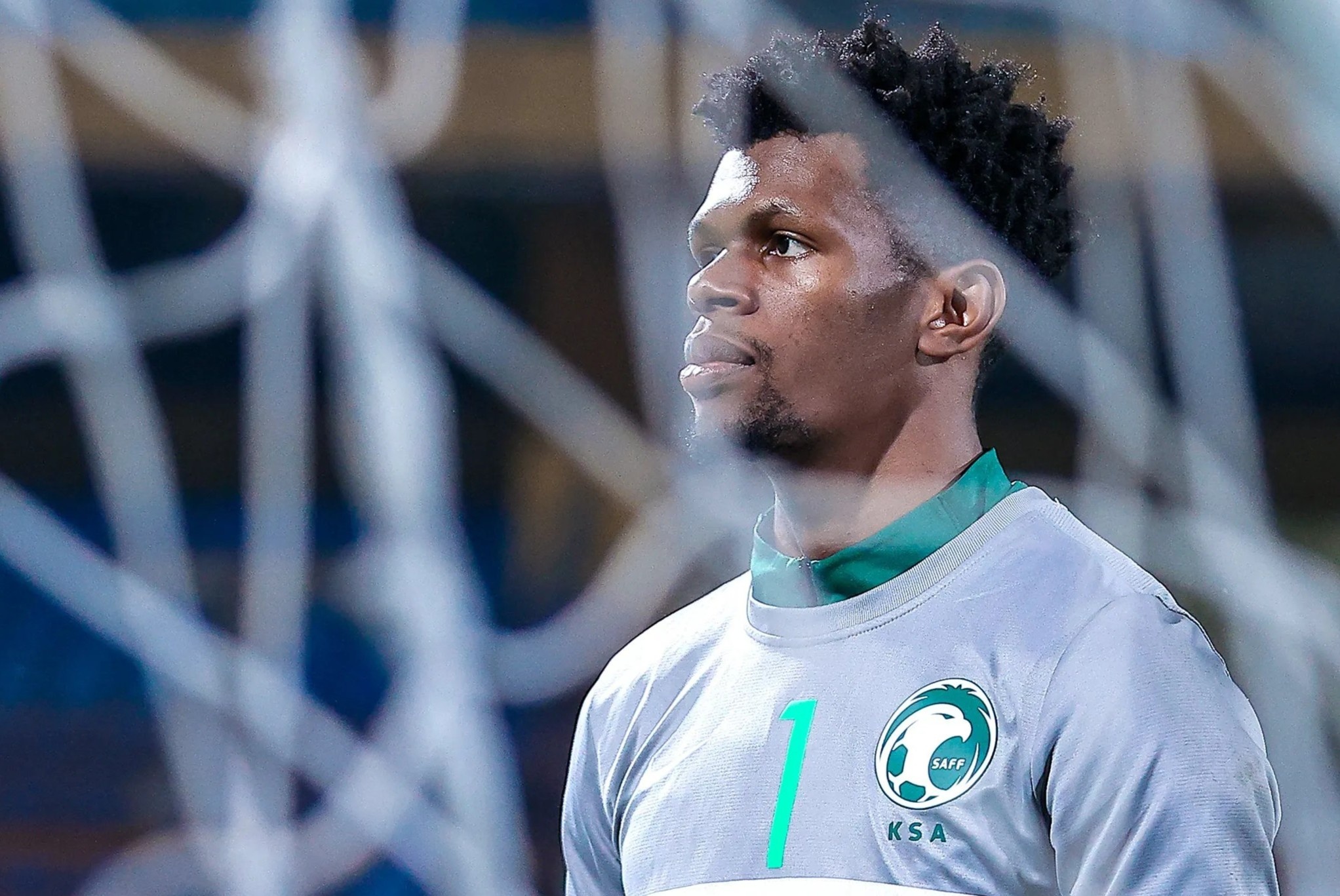 Gia ve tran Viet Nam - Saudi Arabia giam manh hinh anh