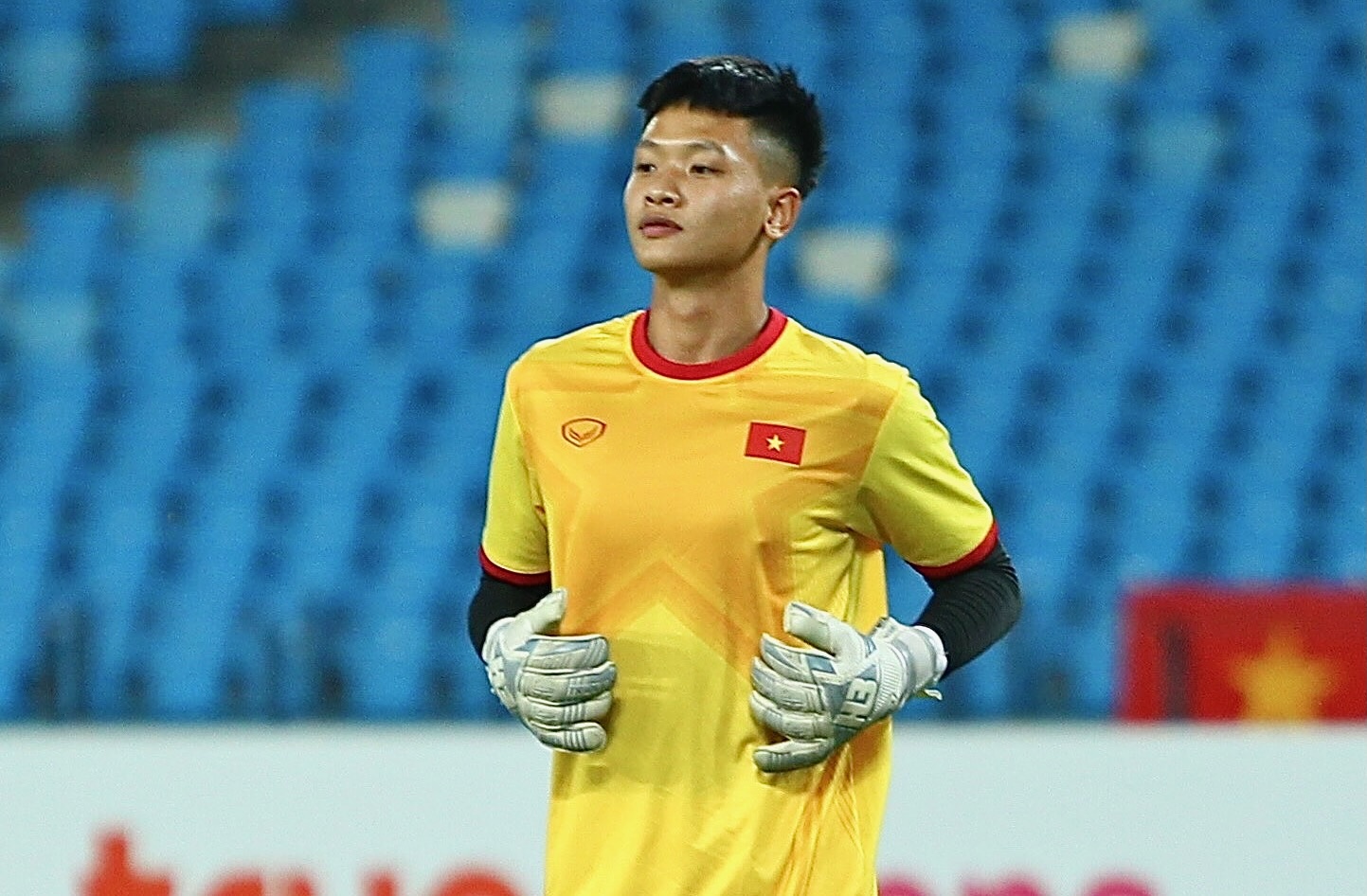 tran liem dieu anh 1