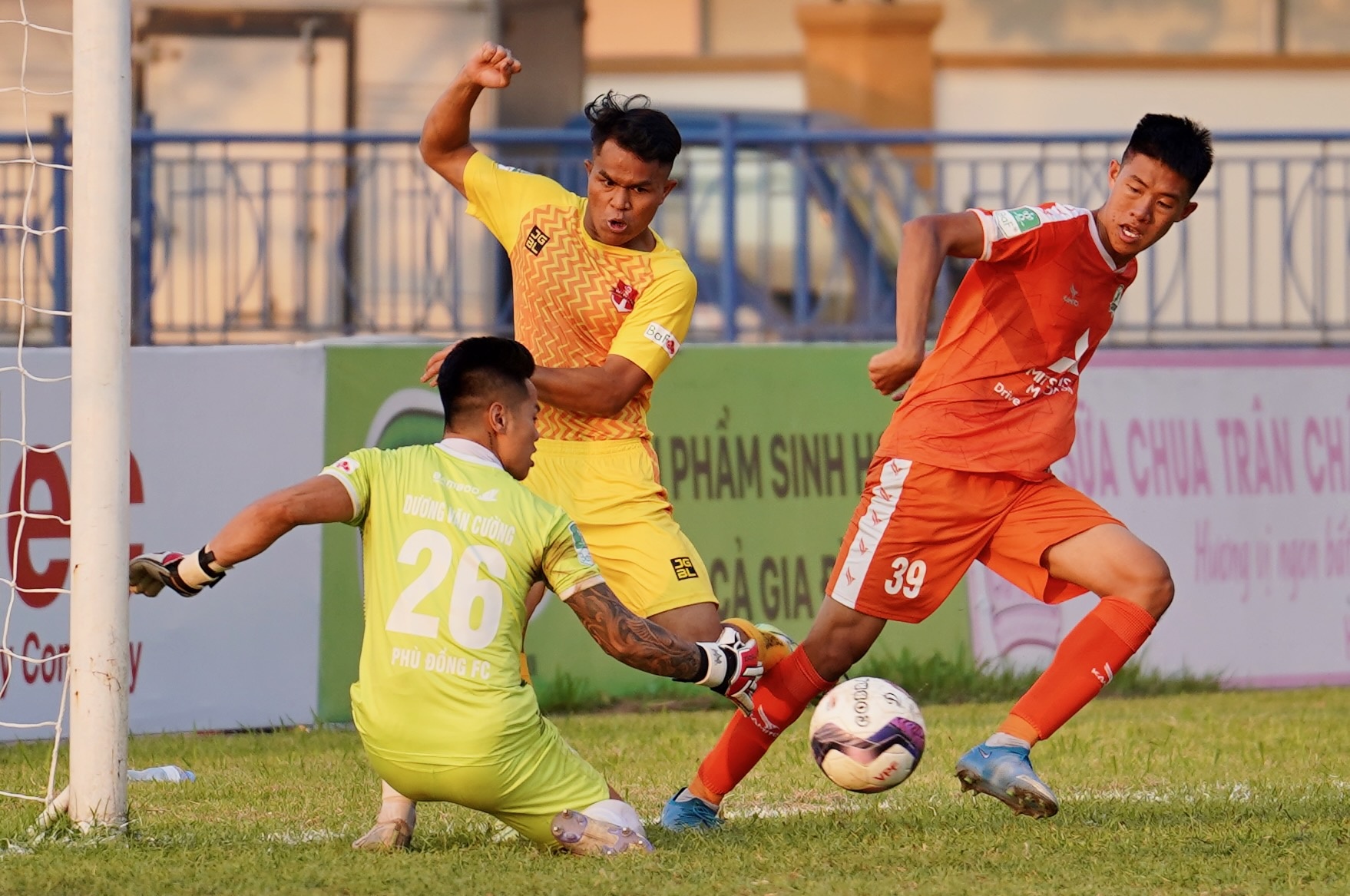 vincent trong tri guyenne anh 8