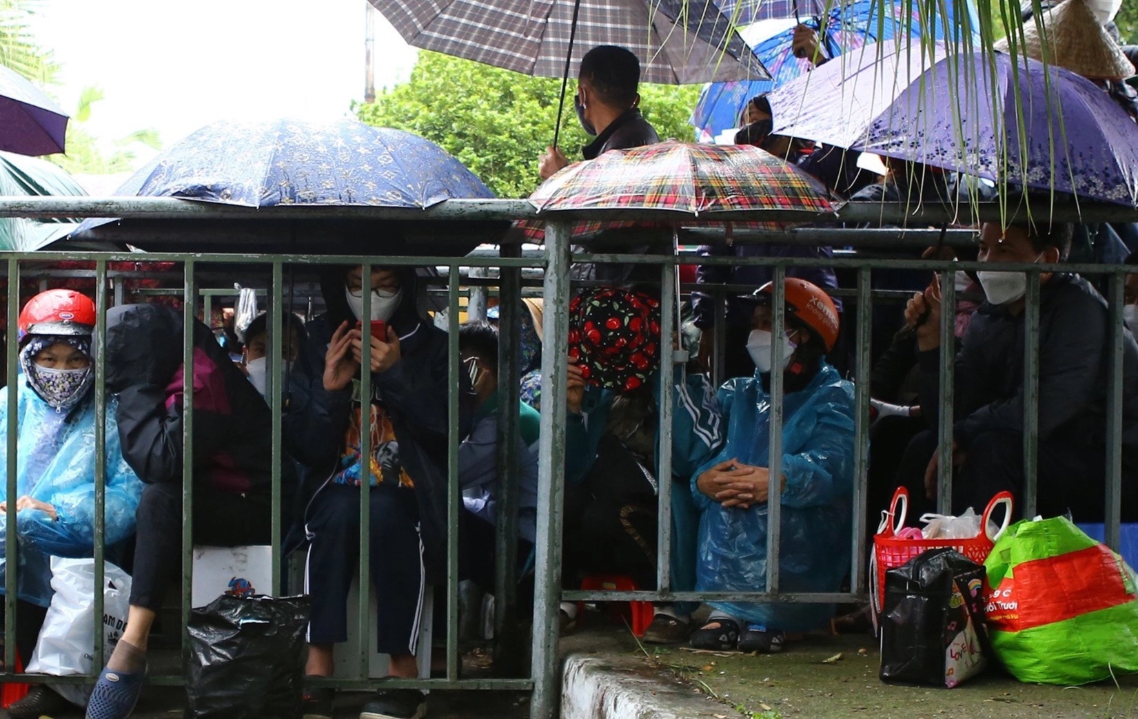 mua ve U23 Viet Nam - U20 Han Quoc anh 2