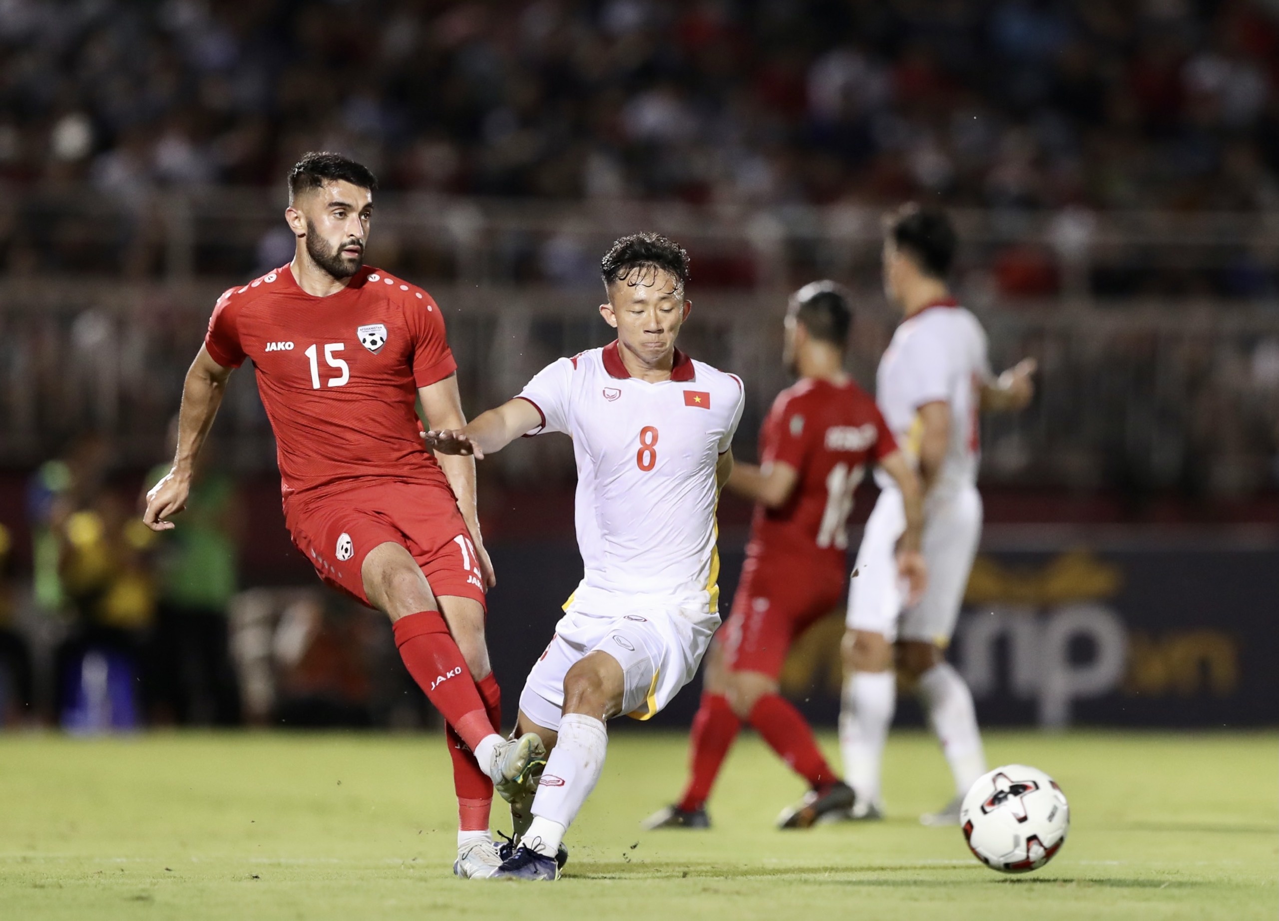 adriano schmidt anh 7