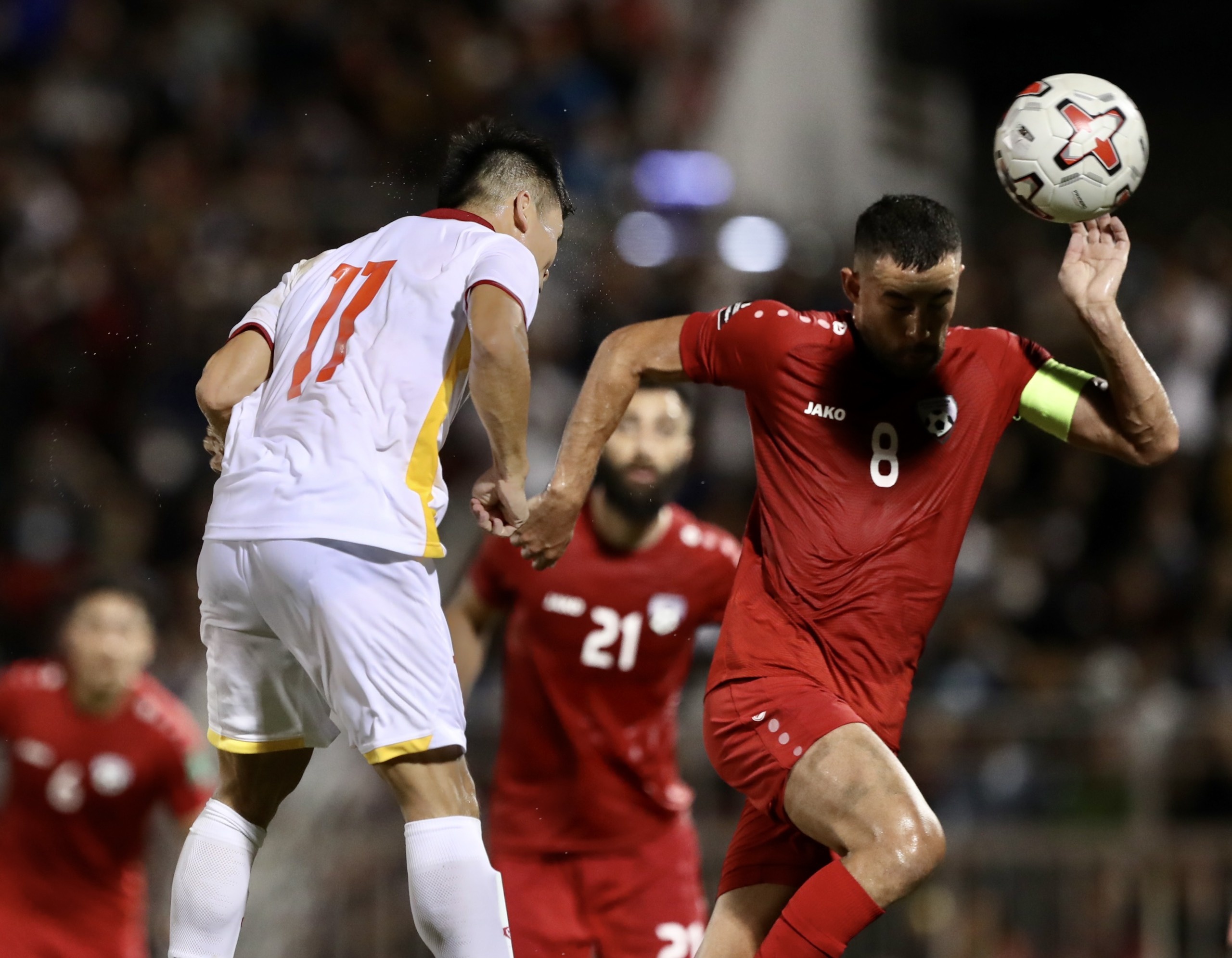 adriano schmidt anh 2