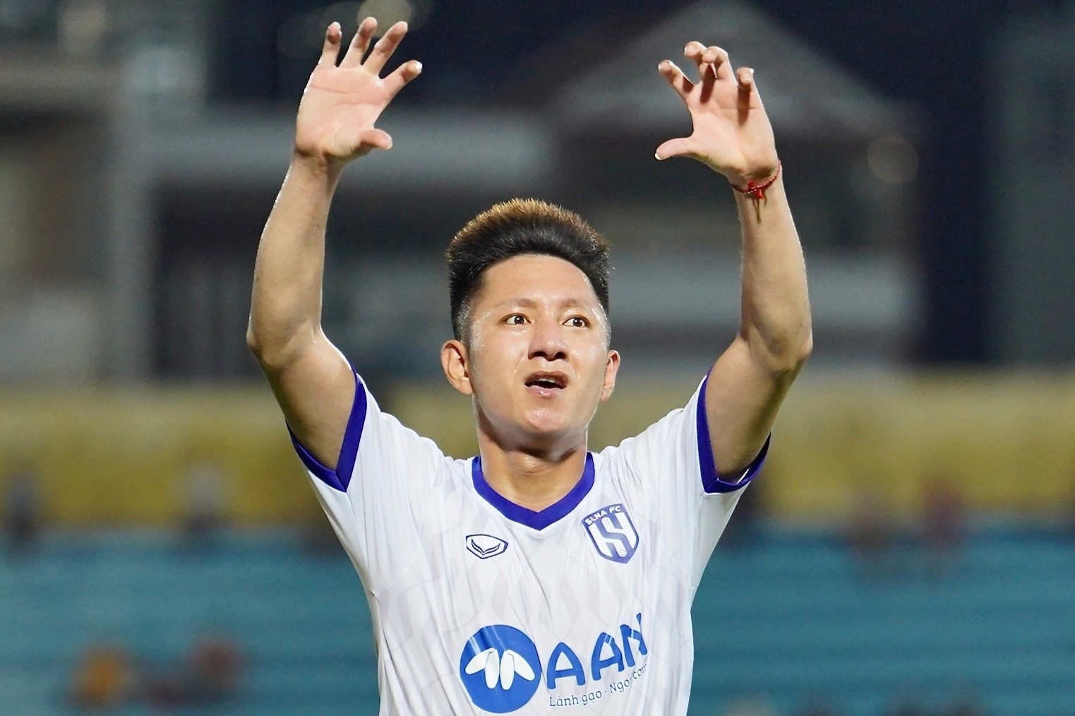 Thang Nam Dinh, SLNA tro lai duong dua vo dich hinh anh