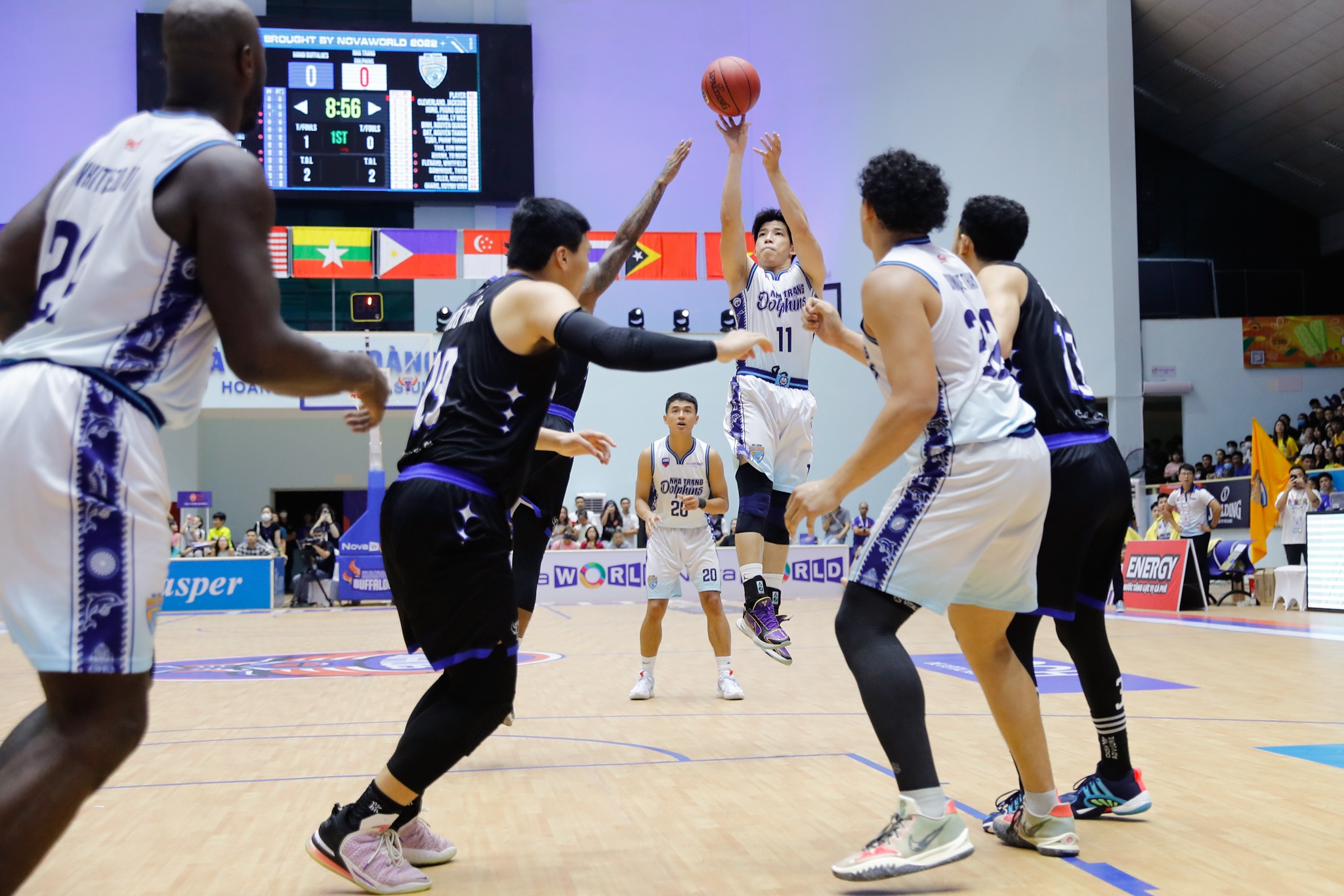 hanoi buffaloes anh 2