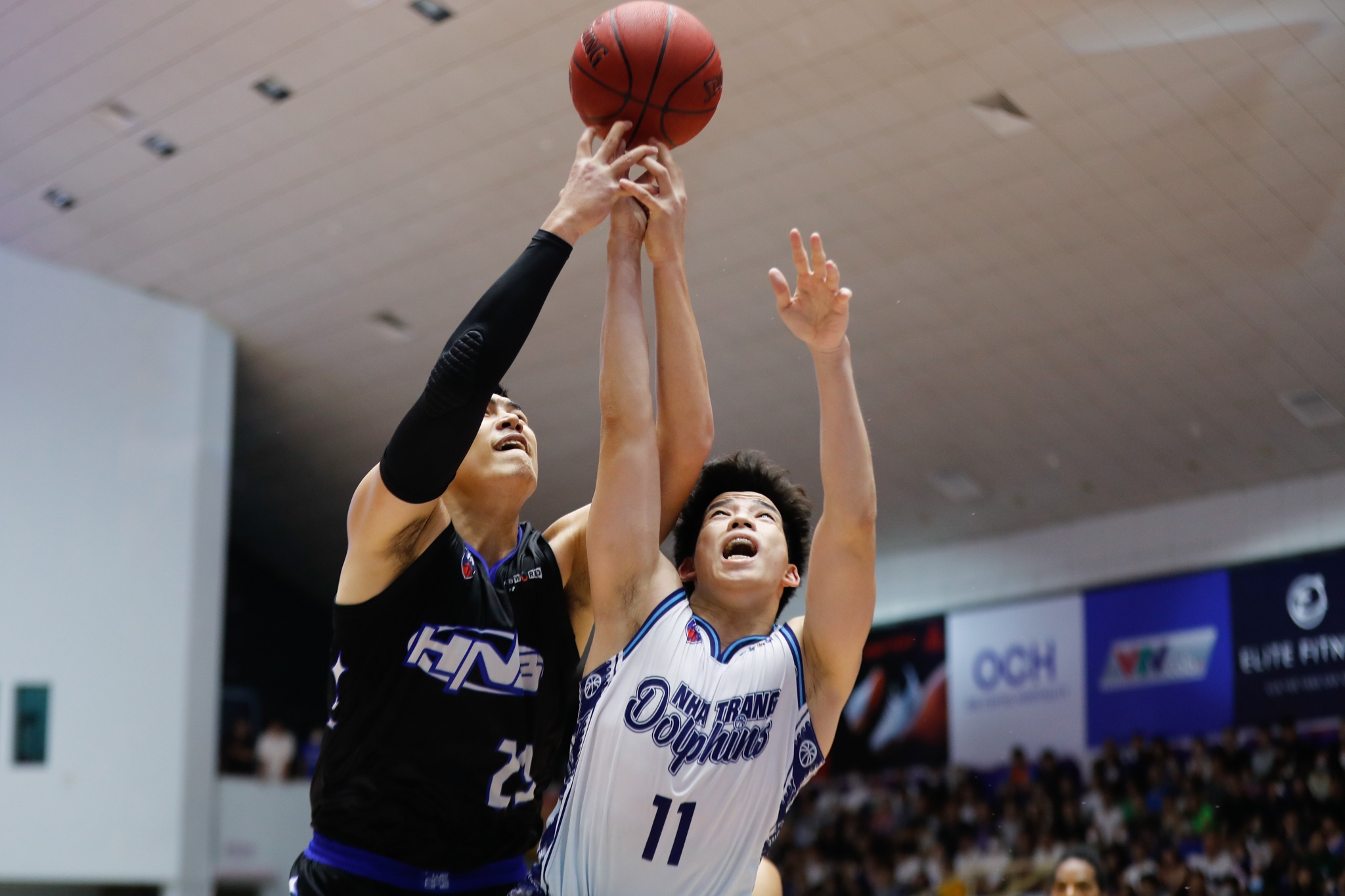 hanoi buffaloes anh 3