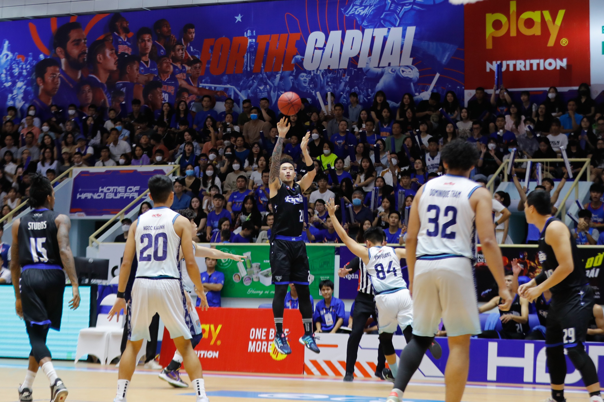 hanoi buffaloes anh 4