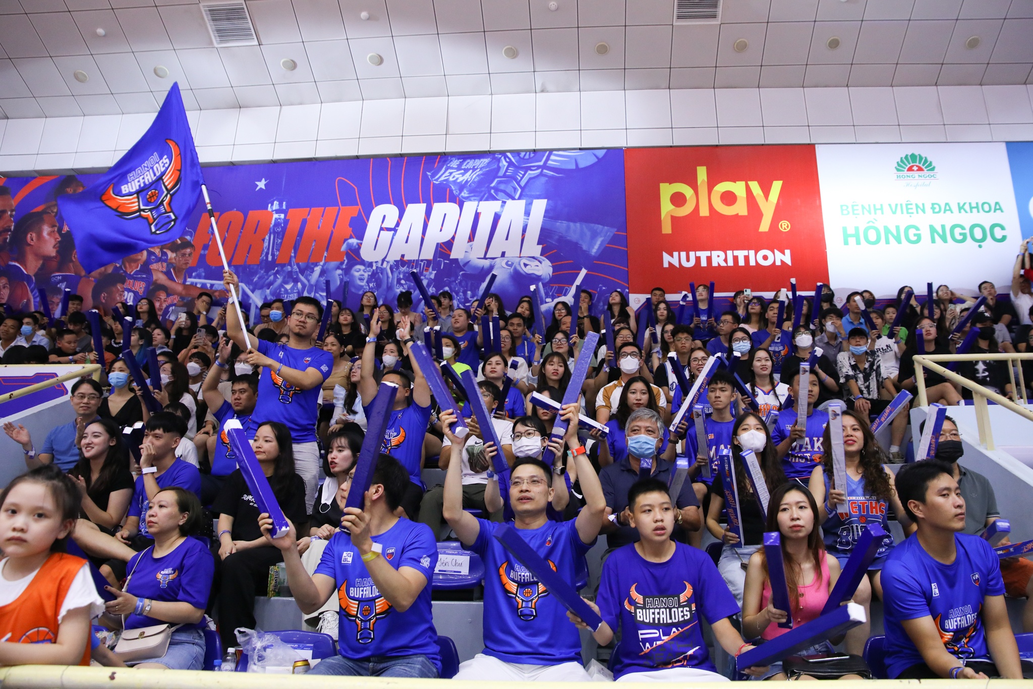 hanoi buffaloes anh 5