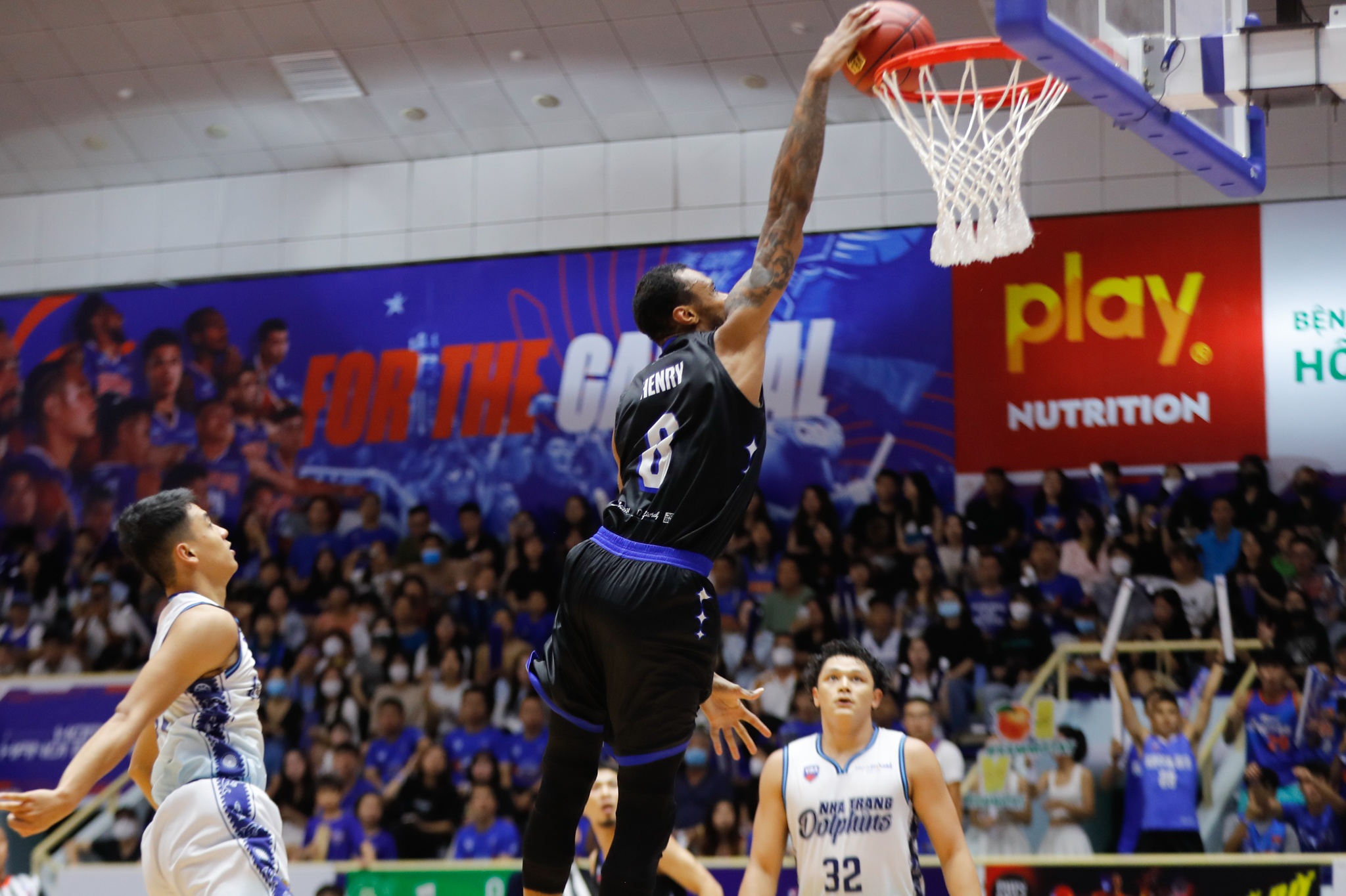 hanoi buffaloes anh 6